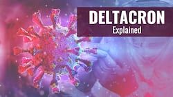 Deltacron: How Hybrids Are Formed? Scientist Answers All Your Queries About Virus Mutations