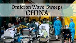 Lockdown In China's Largest City Shanghai: Over 26 Million People Affected, Mass Testing Starts