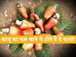 काजू के फल खाने के सेहत लाभ