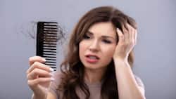 Foods That Cause Hair Fall: बालों के लिए नुकसानदायक साबित हो सकते हैं ये 4 फूड्स, बढ़ सकती है हेयर फॉल और हेयर लॉस की समस्या