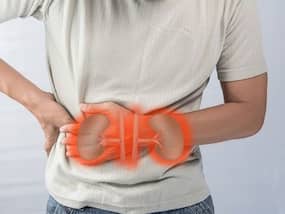 World Kidney Day 2022: भारत में 15 फीसदी लोगों को है किडनी की बीमारियां, आयुर्वेदिक एक्सपर्ट्स ने किया दावा Neeri KFT रख सकती है किडनी को स्वस्थ
