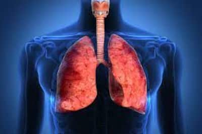 Respiratory Infections Like Cystic Fibrosis May Persist In Lungs For ...