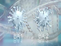 Omicron Replaces Delta In Tamil Nadu, BA.2 Variant Dominates COVID Cases