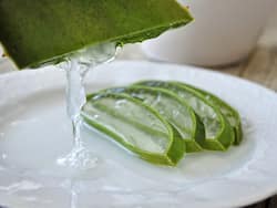 गर्मियों में बालों पर Aloe Vera Gel लगाने के तरीके