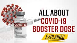 Here's All You Need To Know About Booster Dose, Know Eligibility And Which Vaccine Will Be Given - Watch