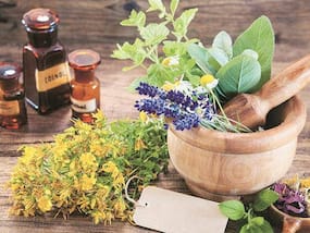 Herbal Medicine: Nature's Pharmacy For Health And Wellness