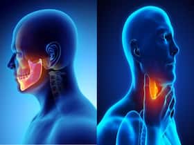 Tobacco And Alcohol: Do They Increase The Risk Of Head And Neck Cancer?