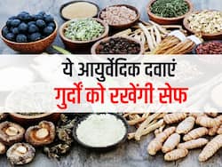 क्रोनिक किडनी रोगों से बचाने में कारगर हैं ये आयुर्वेदिक औषधियां, एक्सपर्ट से जानिए किन औषधियों से मिलता है फायदा