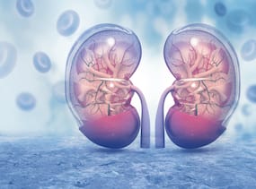 World Kidney Day 2022: किडनी के मरीजों को रोज करना चाहिए ये 4 एक्सरसाइज, पढ़ें एक्सपर्ट की सलाह