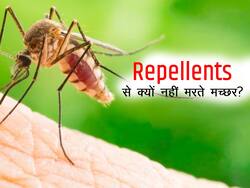 Repellents लगाकर मच्छर से बचने की चालाकी होगी नाकाम, मच्छरों ने ढूंढ निकाला इसे बचने का तरीका