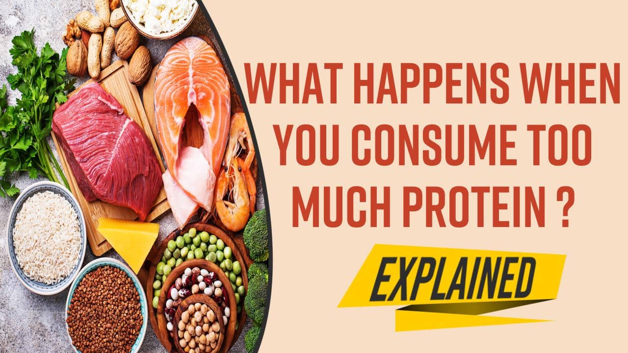 Explained What Happens When We Consume Too Much Proteins Risks And 0090