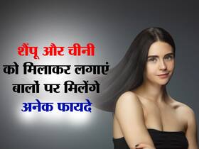 Hair Care Tips: बालों में शैंपू और चीनी को इस प्रकार मिलाकर लगाएं तो भूल जाएंगी रूखे और झड़ते बालों की टेंशन, बहुत ही आसान है इस्तेमाल करने का तरीका