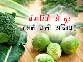 थाली में इन तीन हरी सब्जियों का होना आपको रोगों से रखेगा दूर! जानें सस्ती और स्वास्थ्य के लिए बेस्ट हरी सब्जियां थाली में इन तीन हरी सब्जियों का होना आपको रोगों से रखेगा दूर! जानें सस्ती और स्वास्थ्य के लिए बेस्ट हरी सब्जियां