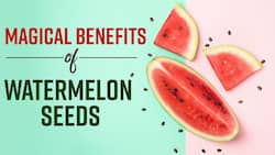 Amazing Health Benefits Of Eating Watermelon Seeds - Watch Video