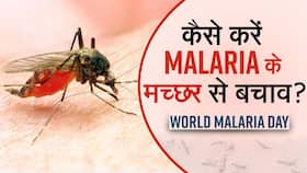 Malaria Prevention: मलेरिया से कैसे बचें? फॉलो करें ये आसान टिप्स