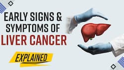 Liver Cancer: Signs, Symptoms And Treatments Available - Expert Speaks