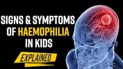 Hemophilia Disease: Symptoms And Early Signs, How Does It Affect Children?