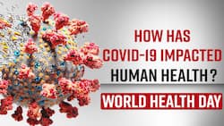 Covid-19 Has Impacted Human Health Globally, Here's How You Can Pick Your Health Back Up, Explained By Expert