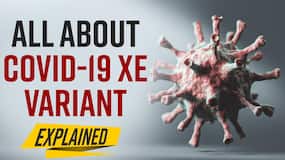 Covid 19 News: Is Newly Detected XE Variant Of Covid-19 Dangerous? Should People Worry? Explained By Expert
