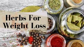 Weight Loss Tips: 5 Fat-Burning Ayurvedic Herbs That Will Help You Lose Weight Fast