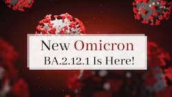 Omicron BA.2.12.1 Sub-Variant , The Strain Behind COVID Surge In Delhi Has Connections With Delta Variant, Says Virologist