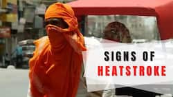 Delhi Temperature To Touch 46 Degrees: 10 Signs of Heatstroke
