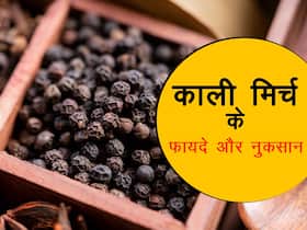 क्या काली मिर्च खाने से स्वास्थ्य को हो सकते हैं नुकसान, जानें क्या हैं गर्मियों में इस मसाले के सेवन के फायदे-नुकसान