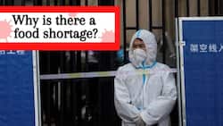 China's Shanghai Becomes New COVID-19 Epicentre, Residents Run Out of Food As City Extends Lockdown