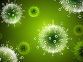 New Omicron Variant Found In Bihar, 10 Times More Harmful Than BA.2