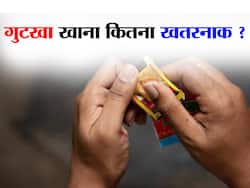 पान मसाला और गुटका के विज्ञापनों के लिए फिल्मी सितारे हुए ट्रोल,एक्सपर्ट ने बताया क्यों स्वास्थ्य के लिए 'खराब' है तम्बाकू उत्पाद