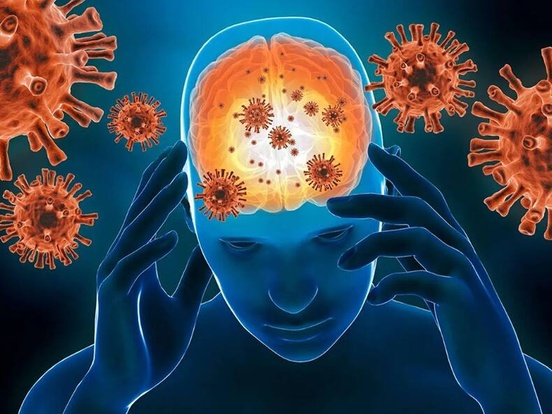 COVID Infection Can Shrink Your Brain: Eat These Foods For Healthy Brain Cells