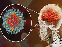 COVID Infection Can Shrink Your Brain: Include These Foods To Your Diet For Healthy Brain Cells