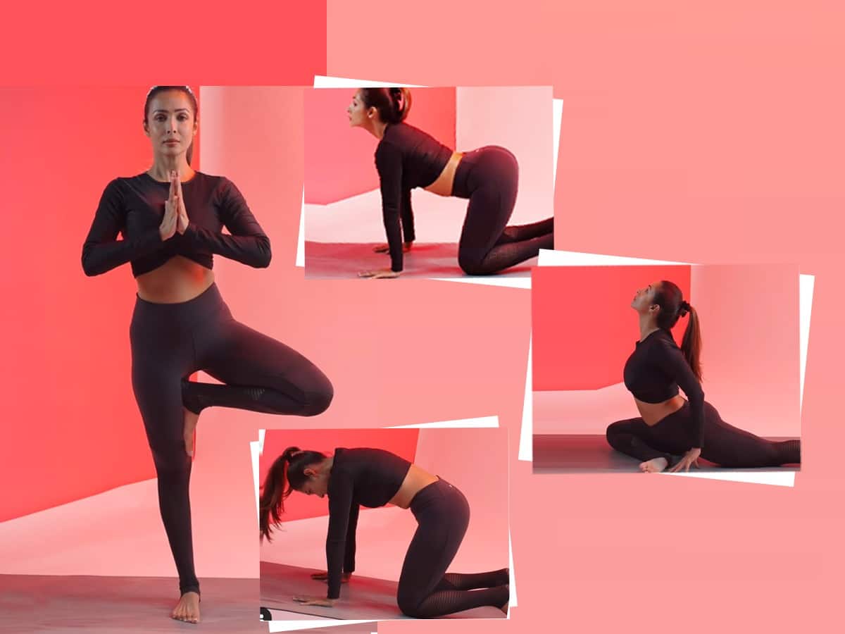 International Day of Yoga: Watch Malaika Arora demonstrate  core-strengthening asanas | Health News, Times Now