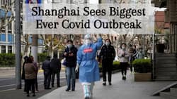 China Reports 20,472 New COVID Cases, Highest Since Wuhan Outbreak; Shanghai In Race Against Time