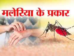 5 तरह का होता है मलेरिया, जानें मलेरिया के लक्षणों और बचाव के उपायों के बारे में यहां
