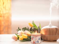 Bach Flower Therapy For Mental And Emotional Well-Being: 5 Reasons Why You Should Try Once