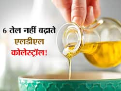 6 तरह के ये अनसैच्यूरेटेड तेल आपका बैड कोलेस्ट्रॉल कम करने में करेंगे मदद, 30 फीसदी तक कम हो जाता है LDL कोलेस्ट्रॉल