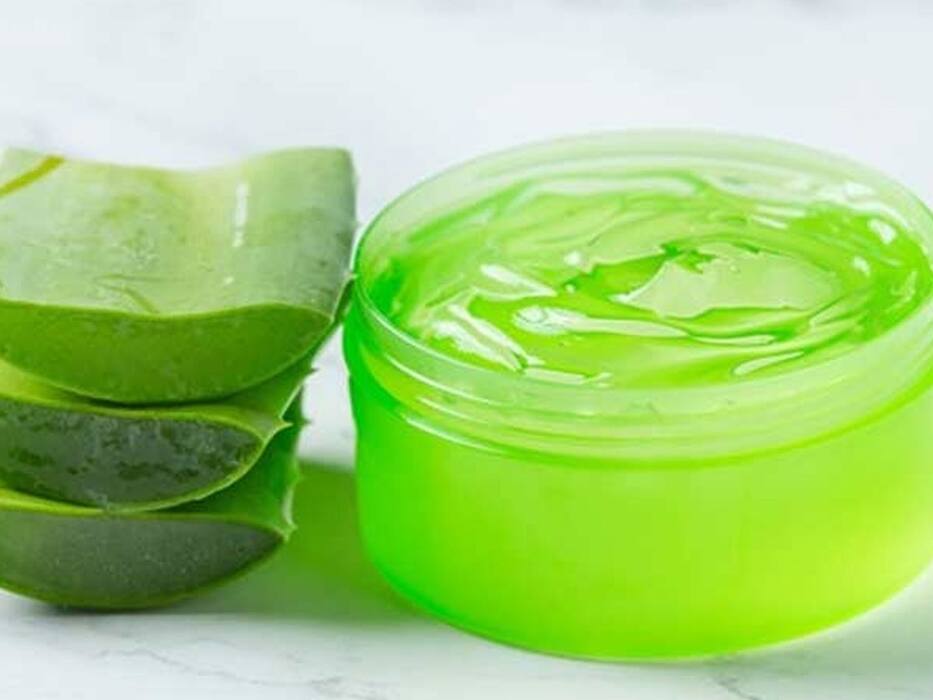 बवासीर को जड़ से खत्म करने के लिए इन 4 तरीकों से करें एलोवेरा का इस्तेमाल! खूनी और बादी बवासीर में मिलेगा आराम