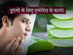 पुरुषों के लिए एलोवेरा के फायदे :  स्टेमिना बढ़ाने से लेकर स्किन केयर तक, पुरुषों के लिए एलोवेरा के 5 फायदे