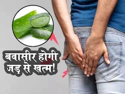 बवासीर को जड़ से खत्म करने के लिए इन 4 तरीकों से करें एलोवेरा का इस्तेमाल! खूनी और बादी बवासीर में मिलेगा आराम