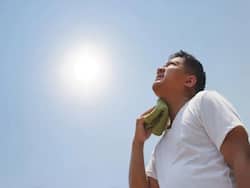Increasing Temperature May Exhaust You: Expert-Approved Tips To Manage Heatstrokes