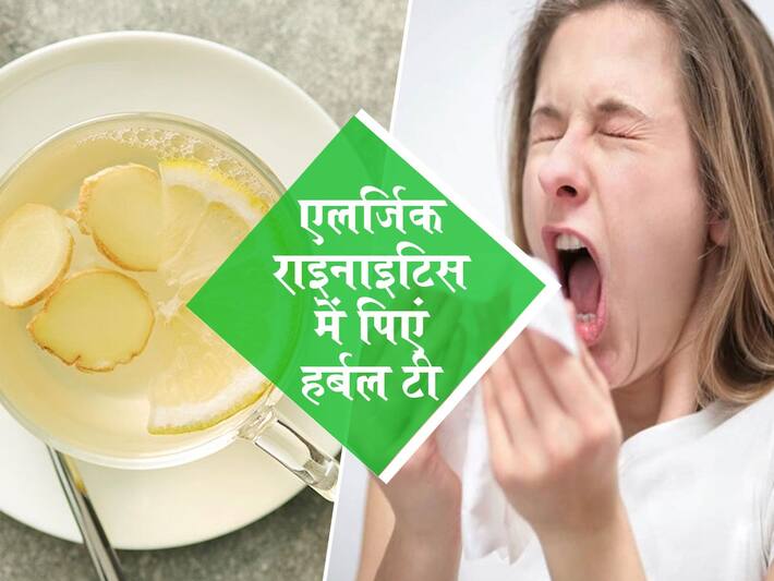 Herbal tea for allergic rhinitis in hindi एलर्जिक राइनाइटिस के घरेलू