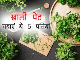 सुबह खाली पेट चबाएं ये 5 पत्तियां, नहीं होगी गैस और ब्लॉटिंग की समस्या
