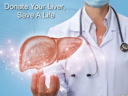 A Guide To Donating Your Liver: Everything You Need To Know