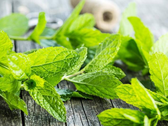 5 herbal leaves for gas and bloating in hindi सुबह खाली पेट चबाएं ये