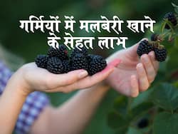 रुजुता दिवेकर ने बताए गर्मियों में मलबेरी खाने के फायदे, इन समस्याओं से बचाव में भी है फायदेमंद