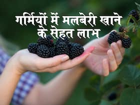 रुजुता दिवेकर ने बताए गर्मियों में मलबेरी खाने के फायदे, इन समस्याओं से बचाव में भी है फायदेमंद