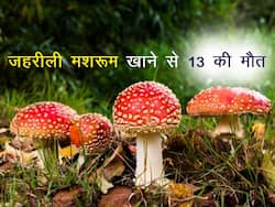 जंगली मशरूम खाने से आसाम में 13 लोगों की मौत