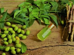 नीम में पाया जाने वाला यह कम्पाउंड है कैंसर के खिलाफ कारगर, BHU की स्टडी में किया गया दावा