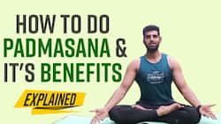 Why You Should Do Padmasana Daily? Health Benefits And Techniques Explained